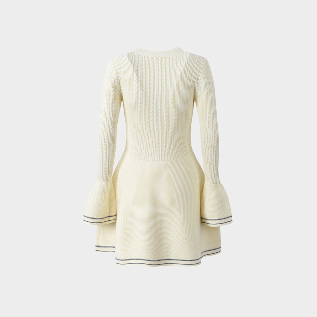 Cozy Flare Wool mini Dress
