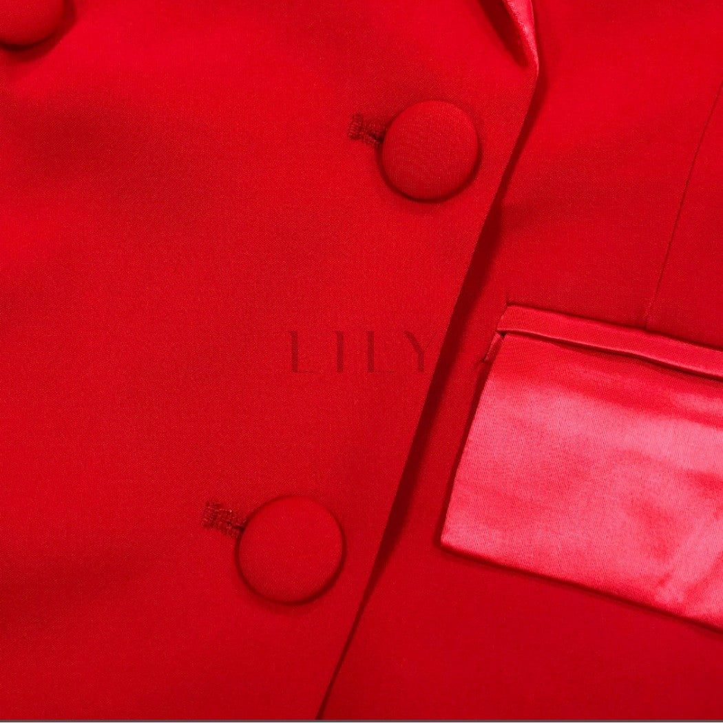 Scarlet Silk Lapelled Satin Blazer Dress